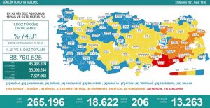 22 ağustos corona tablosu