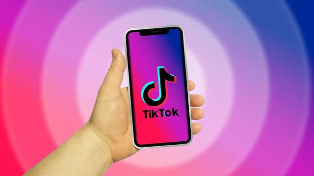 TikTok'un Eğitici İçerikleri